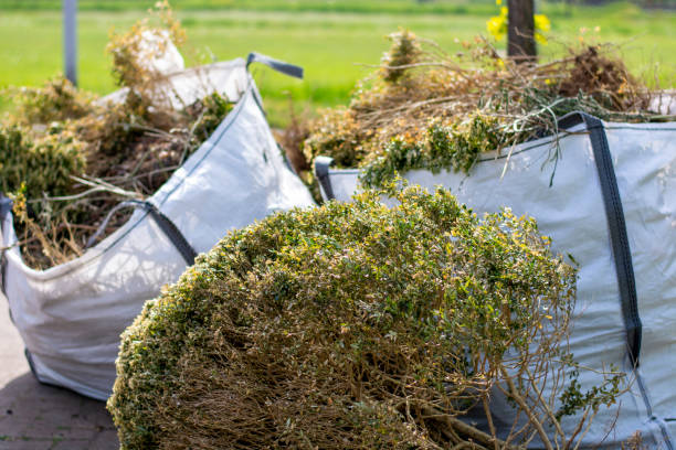 Trusted Eupora, MS Junk Removal Services Experts